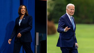 Kamala Harris won't save Democrats if she takes over for Biden, warns historian who correctly predicted 9 of the last 10 elections