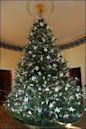 White House Christmas tree