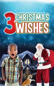3 Christmas Wishes - IMDb