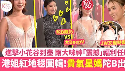 香港小姐2024｜一文睇清紅地毯造型 馮盈盈大Deep V上陣 JW又變時裝災難