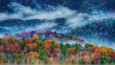 7 most biodiverse places in North America