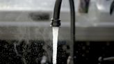 After E. coli detected, Wrentham residents should discard old tap water