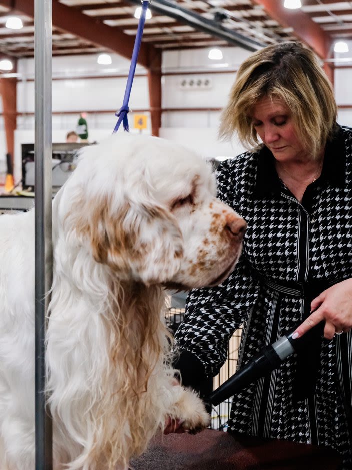 Top dogs: Locals compete in West Virginia’s biggest dog show