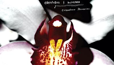 David Lynch & Chrystabell Announce New Album 'Cellophane Memories', Share New Song "Sublime Eternal Love": Listen