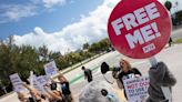 ‘Crying Dolphin’ leads PETA protest over Miami Seaquarium allegedly underfeeding dolphins