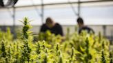 Why Canopy Growth Stock Rallied 80% in April