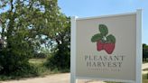 ACU grads sprout u-pick strawberry farm in Clyde