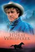 The Horse Whisperer