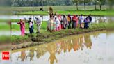 Street theatre campaign promotes green farming - Times of India