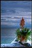 Tropical Snow | Beauty landscapes, Beautiful landscapes, Scenic views