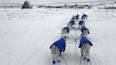 Across the great white north: New children’s book chronicles epic Alaskan trip by dog sled