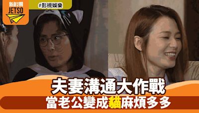 《愛回家之開心速遞》夫妻溝通危機 為增進感情竟想養貓？龔燁模仿貓咪行為引爆笑