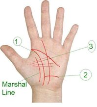 palmistry: Know your Future: Palm reading of life line