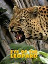 Eye of the Leopard