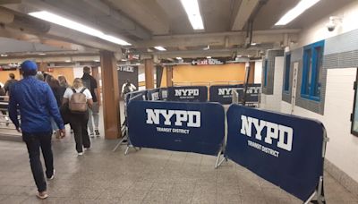 Con detectores de metal en estaciones del Metro esperan frenar violencia armada en Nueva York - El Diario NY