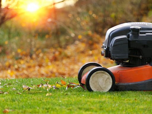 When should you stop mowing your lawn? Expert tips on winter preparation