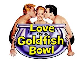 Love in a Goldfish Bowl