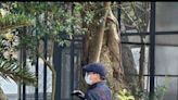 壽山動物園保全拿槍棍驅趕獼猴？ 觀光局：緊急事件才使用 - 生活