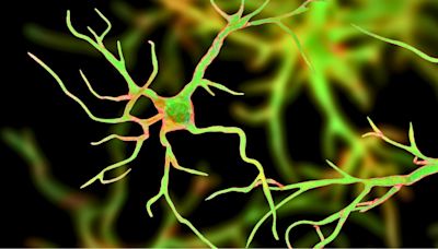 Genetic Tweaks in Astrocytes Could Be Key to Alzheimer's Treatment