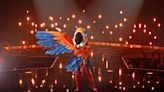 Is Macaw on 'The Masked Singer' this former 'American Idol' finalist? Fans think so