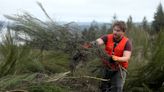 Great Peninsula Conservancy partners with Navy to buy and protect forest near Bangor