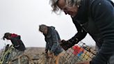 Abandoned lobster traps litter Cuttyhunk Island. Many helped clean it up.