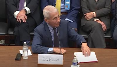 Column: Anatomy of a smear — Fauci faces the House GOP's clown show about COVID