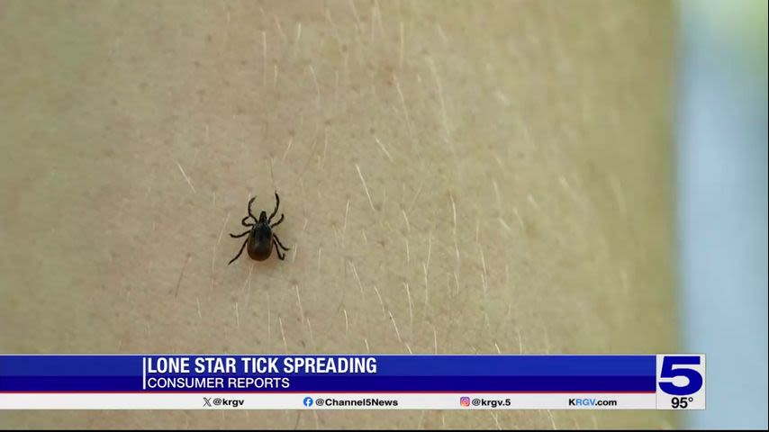 Consumer Report: The Lone Star tick is spreading