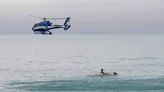 紐西蘭觀光艇疑遭鯨魚撞擊翻覆 釀5死、6人受傷