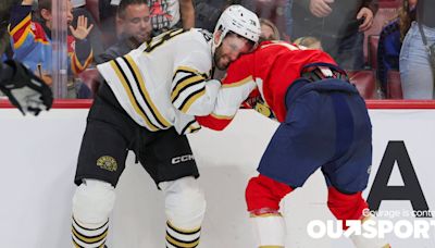 Boston Bruins and Florida Panthers brawl was yet another NHL straight-guy cat fight