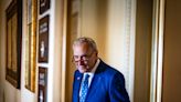 Schumer reflects on how Senate Democrats went from infighting to big policy wins and a larger majority