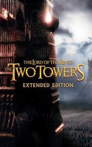 The Lord of the Rings: The Two Towers