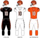 2021 Cincinnati Bengals season