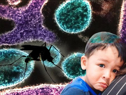What is Chandipura virus, which has killed at least eight children in Gujarat?