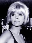 Carol Wayne