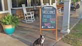 Here are 6 of the best dog friendly Myrtle Beach restaurants to get your pup’s tail wagging