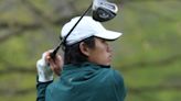 Delbarton captures Northwest Jersey Athletic Conference golf title