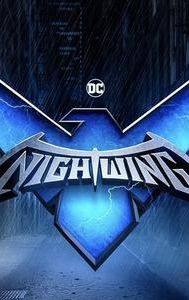 Nightwing | Action