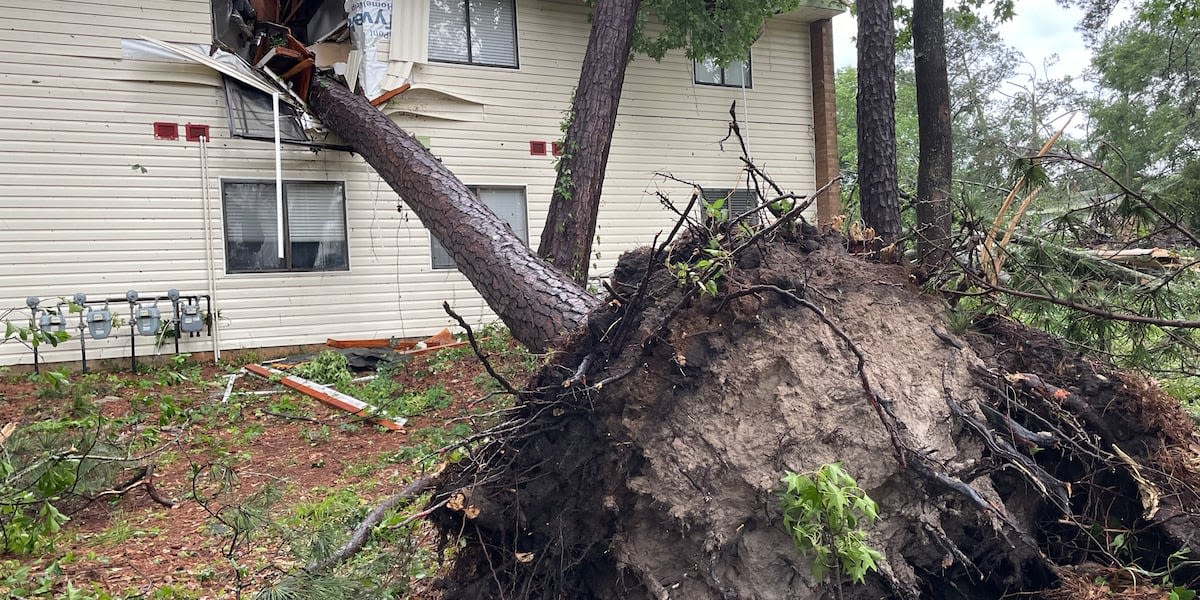 PHOTOS: Storm impacts underway across South Georgia, Big Bend areas