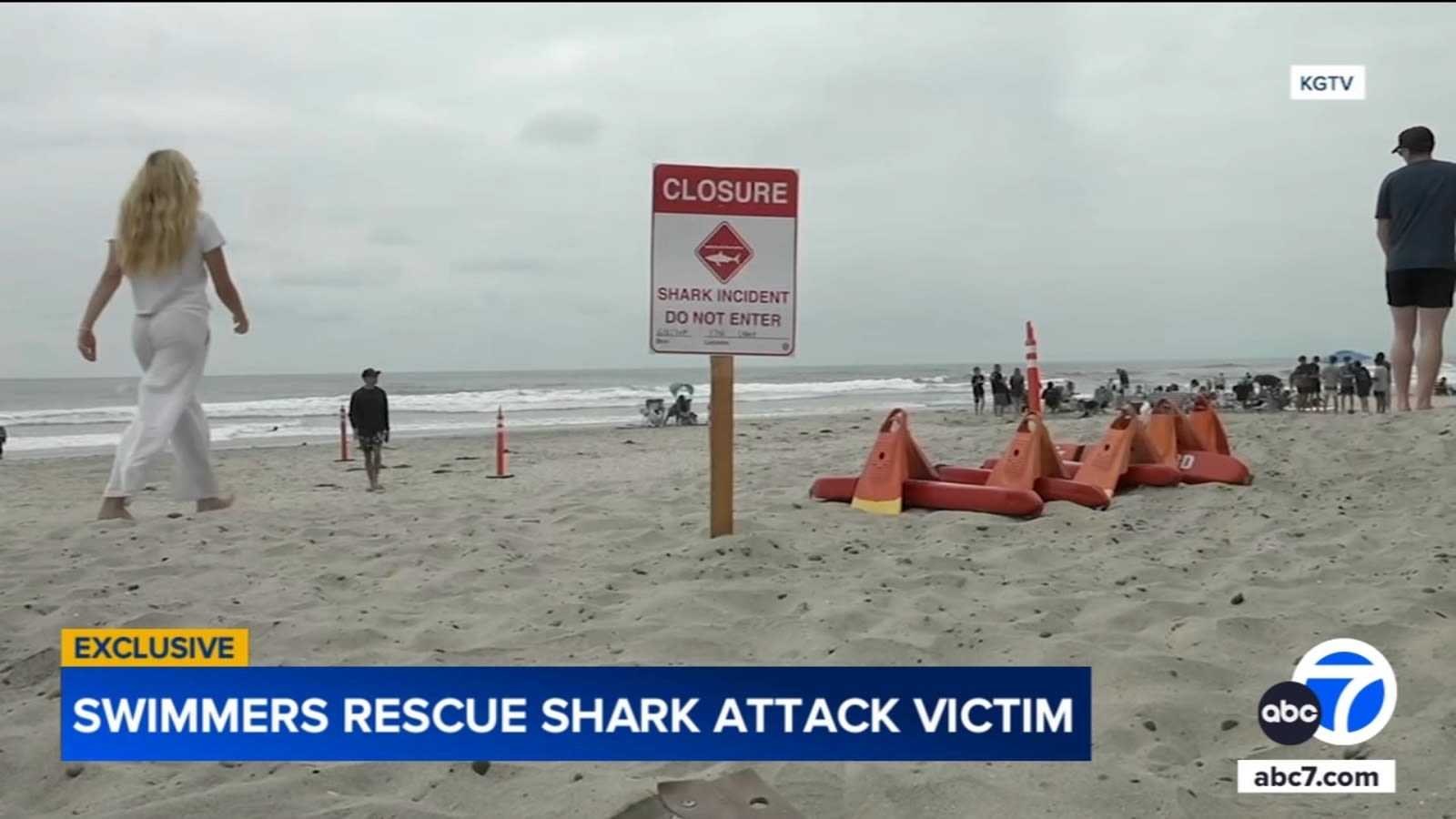Swimmers describe terrifying moments they rescued shark attack victim near San Diego