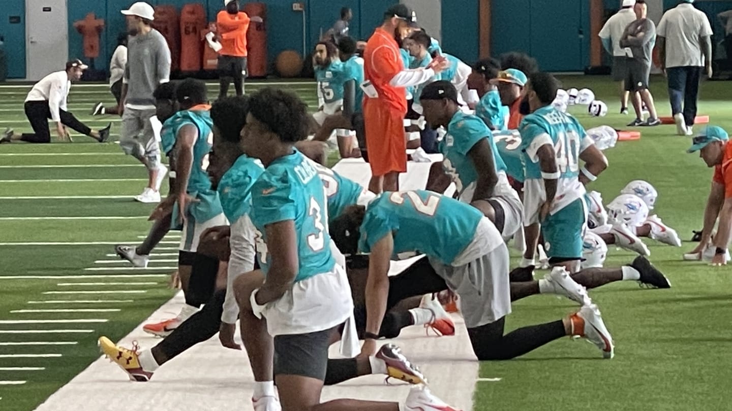 Open Dolphins OTA Observations