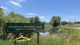 Local nonprofit continues stewardship of Ogden’s Kingfisher Wetlands