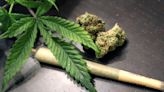 Marijuana use linked with increased risk of heart attack, heart failure
