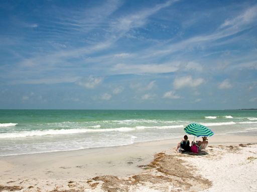 Dr. Beach: Tampa Bay beach is one of the best this year