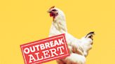 Chicken Linked to Salmonella Outbreak in 29 States