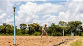 Zimbabwe Says 1,300 White Farmers Who Lost Land Seek Payouts