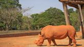 Zoológico de Brasília abre todos os dias em julho