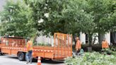 Debris collection from May 16 storm underway in Houston