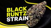 Black Runtz Strain Information: Genetics, Effects & Benefits