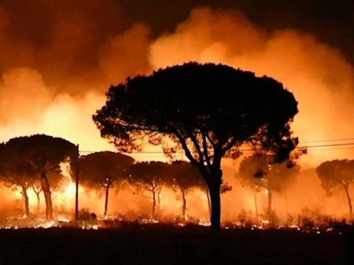 Incendio de Doñana (2017): El juzgado investiga a tres personas relacionadas con la carbonera de Moguer por un presunto delito de incendio forestal por imprudencia grave